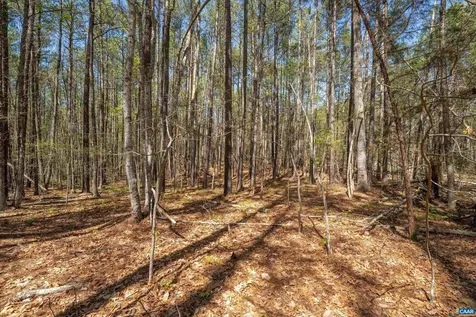 Lot 27 Martin Kings Road Charlottesville VA 22902