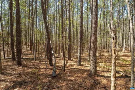Lot 27 Martin Kings Road Charlottesville VA 22902