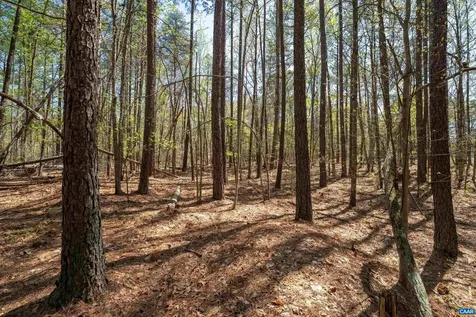 Lot 27 Martin Kings Road Charlottesville VA 22902