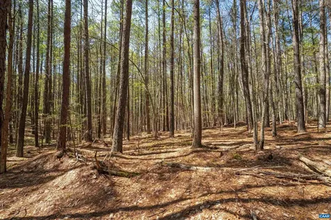 Lot 27 Martin Kings Road Charlottesville VA 22902