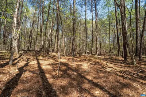 Lot 27 Martin Kings Road Charlottesville VA 22902