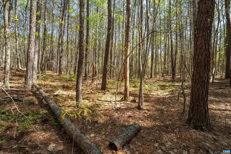 Lot 27 Martin Kings Road Charlottesville VA 22902