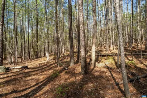 Lot 27 Martin Kings Road Charlottesville VA 22902