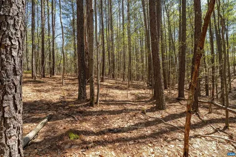 Lot 27 Martin Kings Road Charlottesville VA 22902