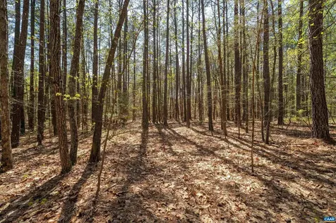 Lot 27 Martin Kings Road Charlottesville VA 22902