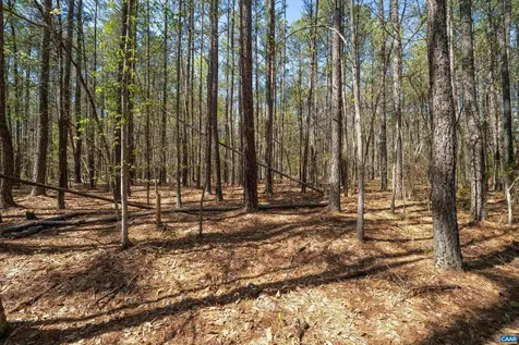 Lot 27 Martin Kings Road Charlottesville VA 22902