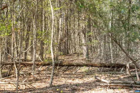 Lot 27 Martin Kings Road Charlottesville VA 22902