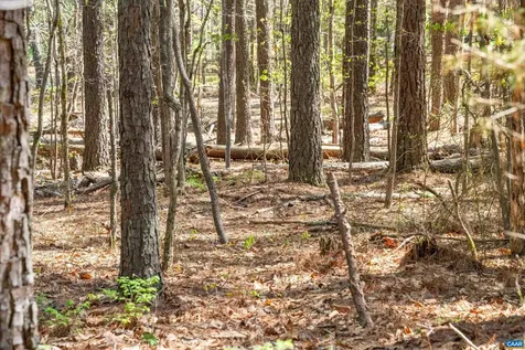 Lot 27 Martin Kings Road Charlottesville VA 22902