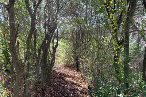 2591 Melrose Road Linville VA 22834