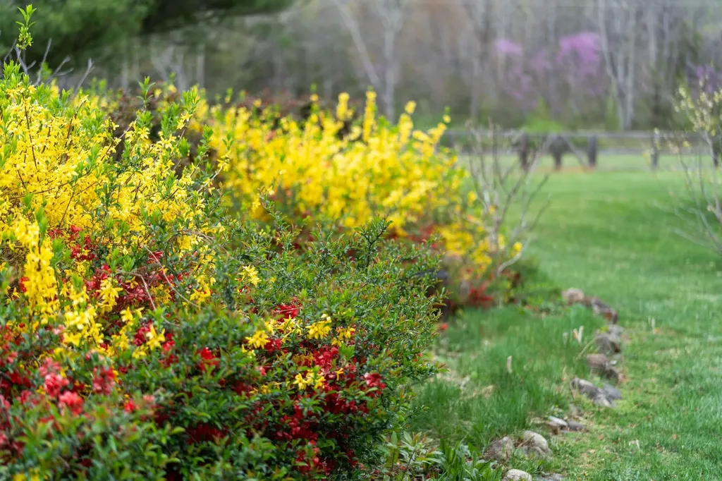 27 Black Walnut Lane Nellysford VA 22958