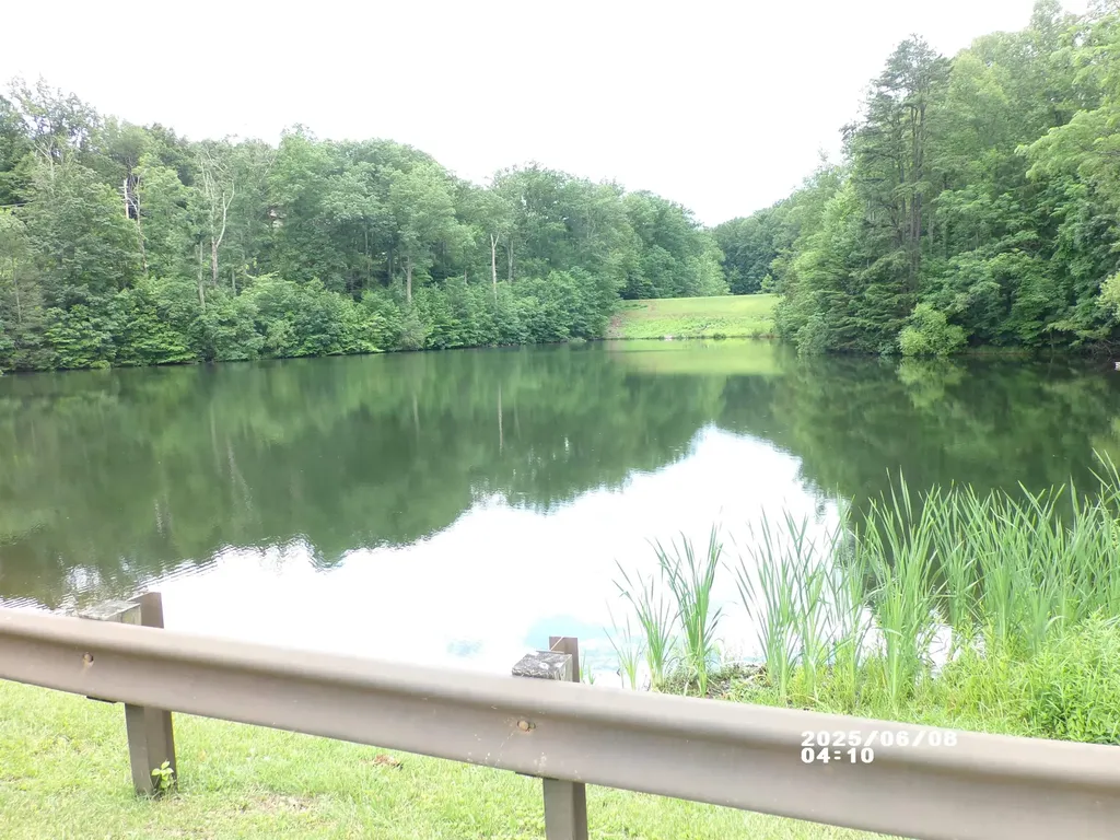 27 Black Walnut Lane Nellysford VA 22958