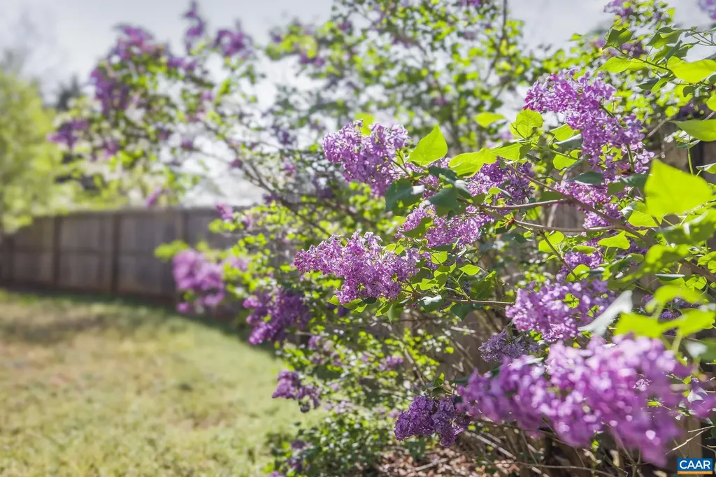 3470 Old Lynchburg Road North Garden VA 22959