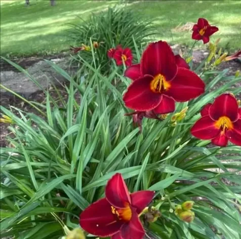 7624 Candlestick Lane Singers Glen VA 22850