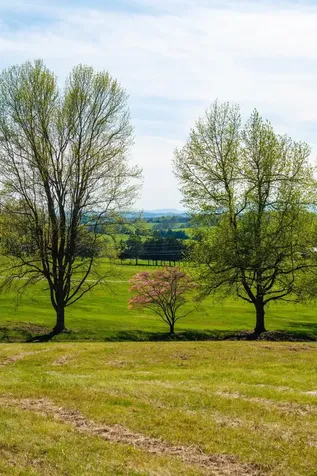 Lot 5 Fox Hill Drive Port Republic VA 24471