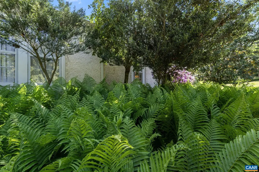 525 Debenham Court Charlottesville VA 22902