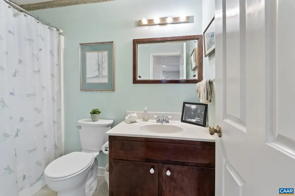 906 Marshall Street Charlottesville VA 22901