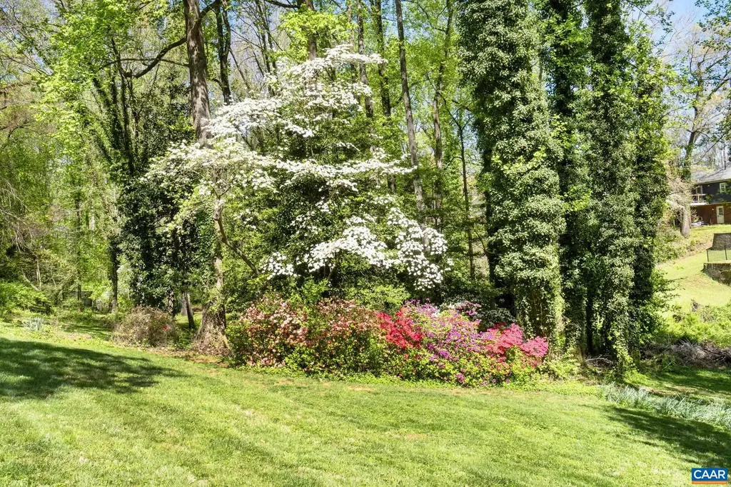 906 Marshall Street Charlottesville VA 22901