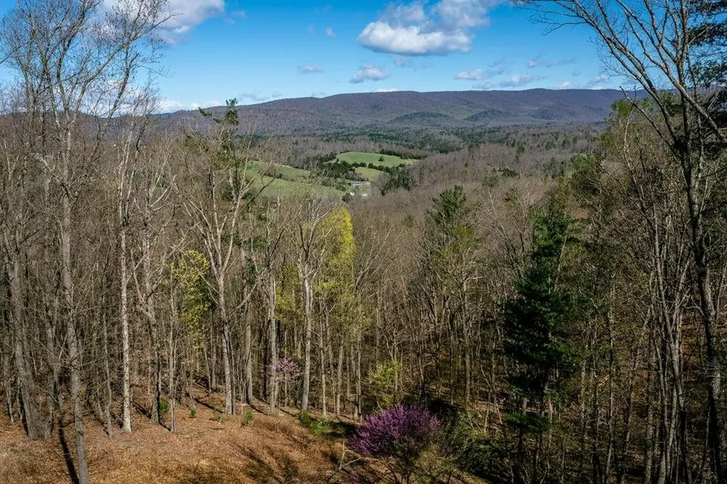 9586 Brunk Spring Lane Broadway VA 22815