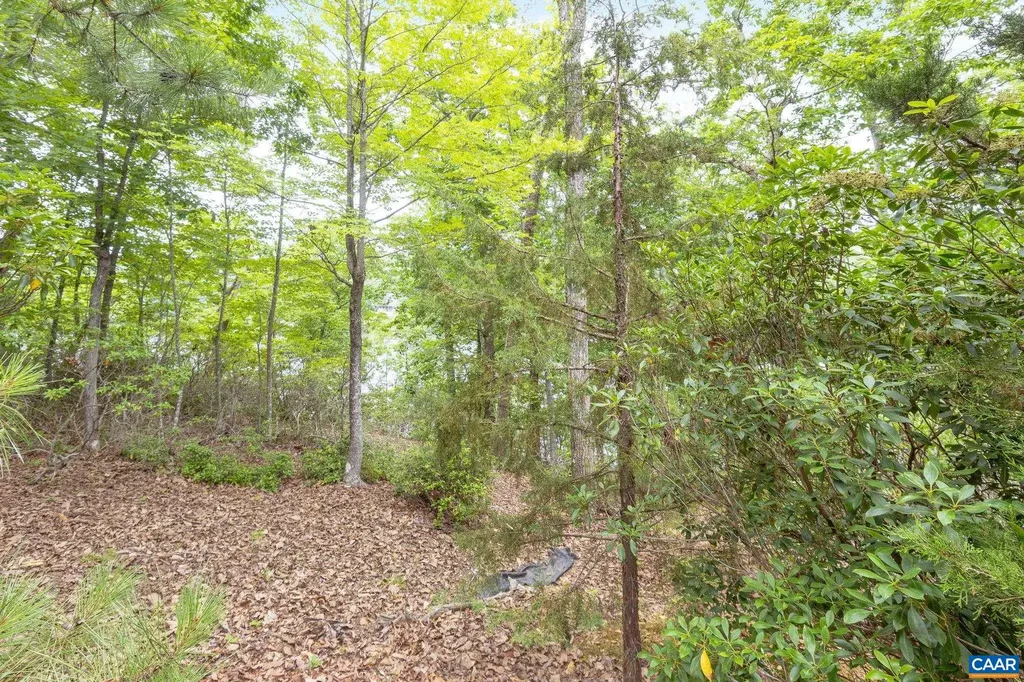 42 Cliftwood Road Palmyra VA 22963