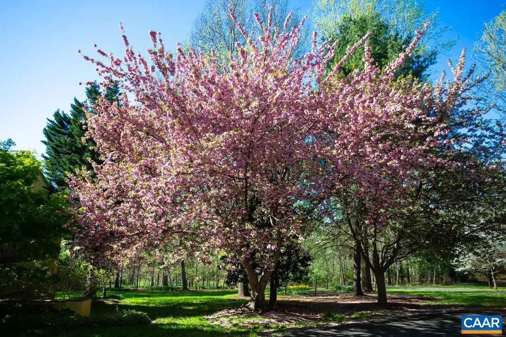 353 Bloomfield Road Charlottesville VA 22901