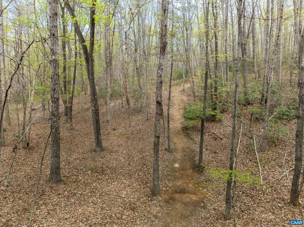 4045 Buck Island Road Charlottesville VA 22902