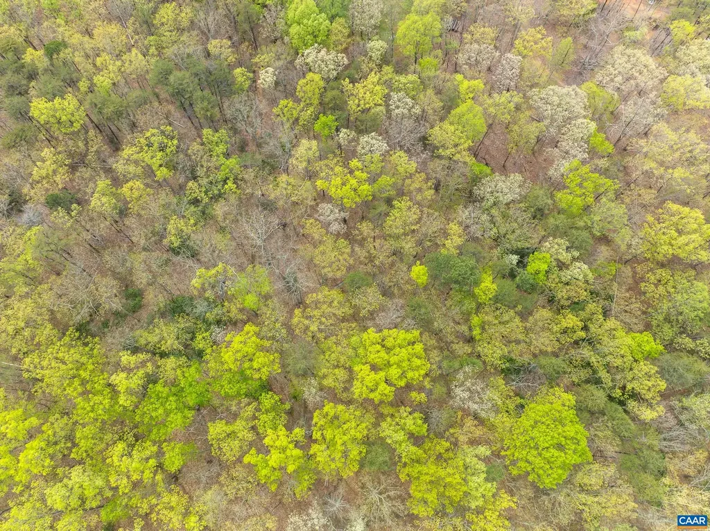 4045 Buck Island Road Charlottesville VA 22902