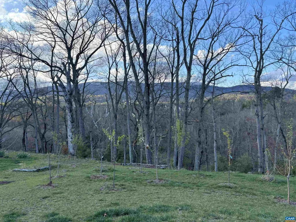 3499 Rowcross Street Crozet VA 22932