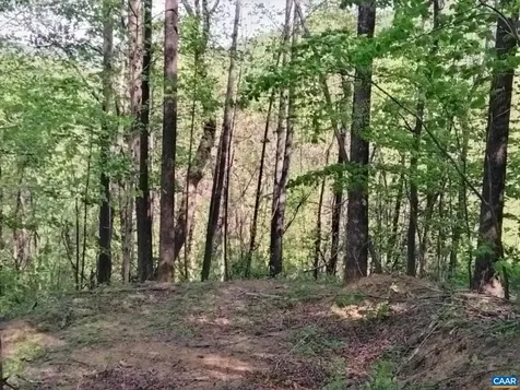 Tbd Old Blue Ridge Turnpike Syria VA 22743