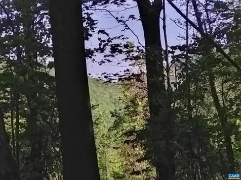 Tbd Old Blue Ridge Turnpike Syria VA 22743