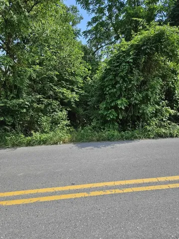 3 Acres Mossy Creek Road Mount Solon VA 22843