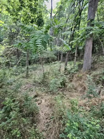 3.39 Acres Mossy Creek Road Mount Solon VA 22843