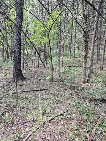 3.39 Acres Mossy Creek Road Mount Solon VA 22843