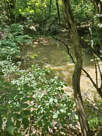 3.39 Acres Mossy Creek Road Mount Solon VA 22843