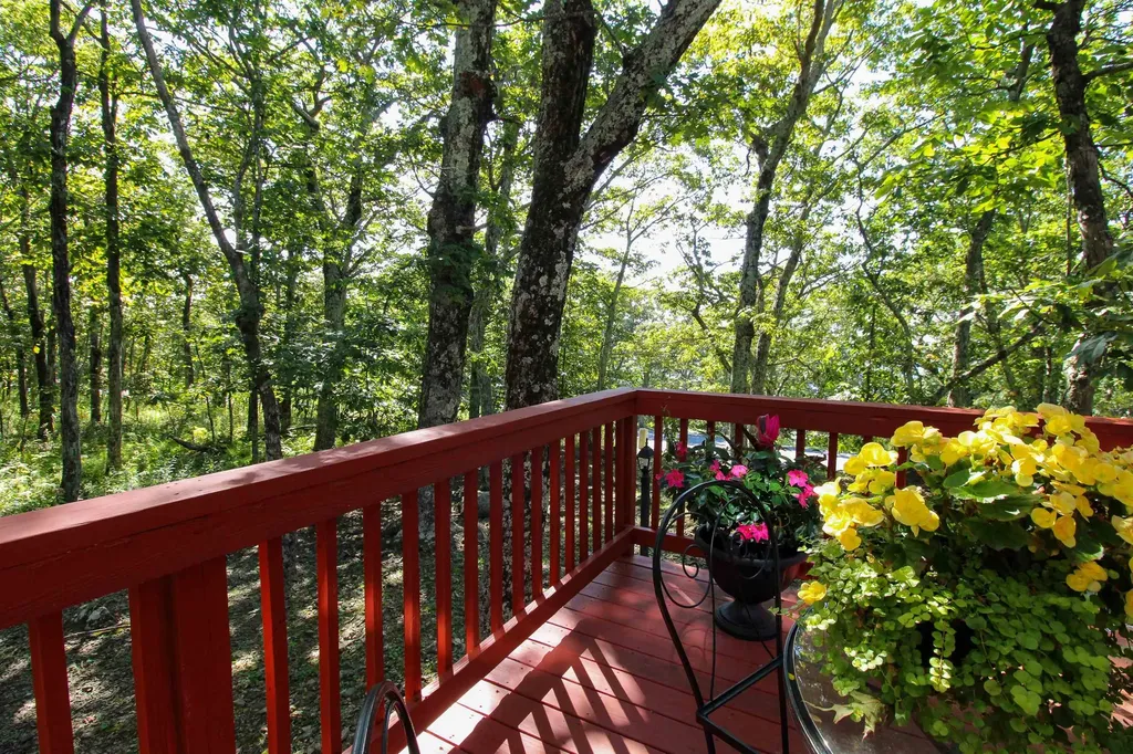 781 Devils Knob Loop Wintergreen Resort VA 22967
