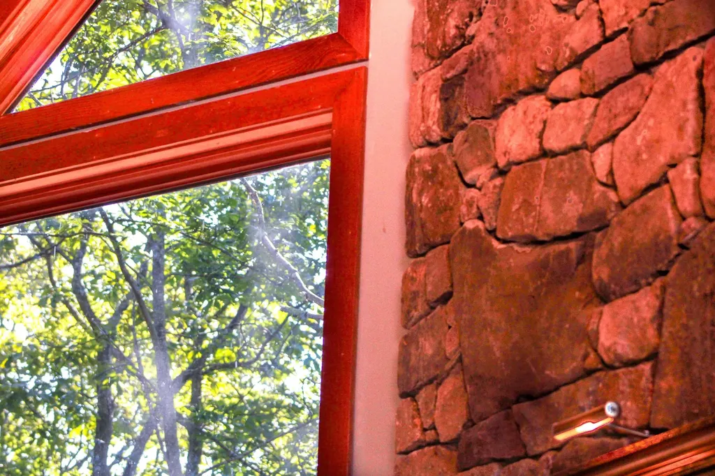 781 Devils Knob Loop Wintergreen Resort VA 22967