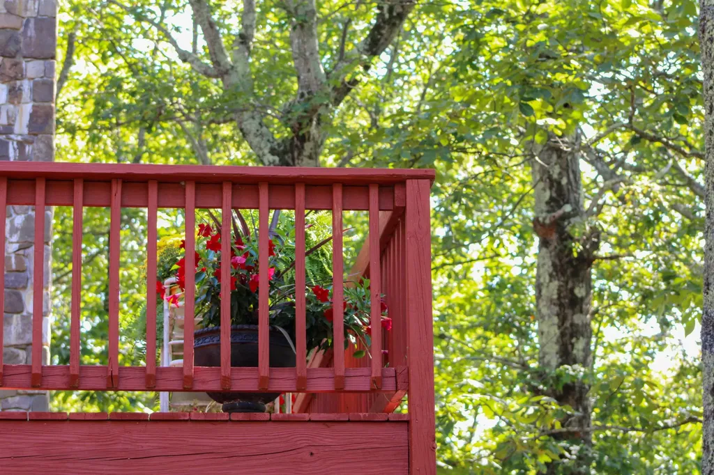 781 Devils Knob Loop Wintergreen Resort VA 22967