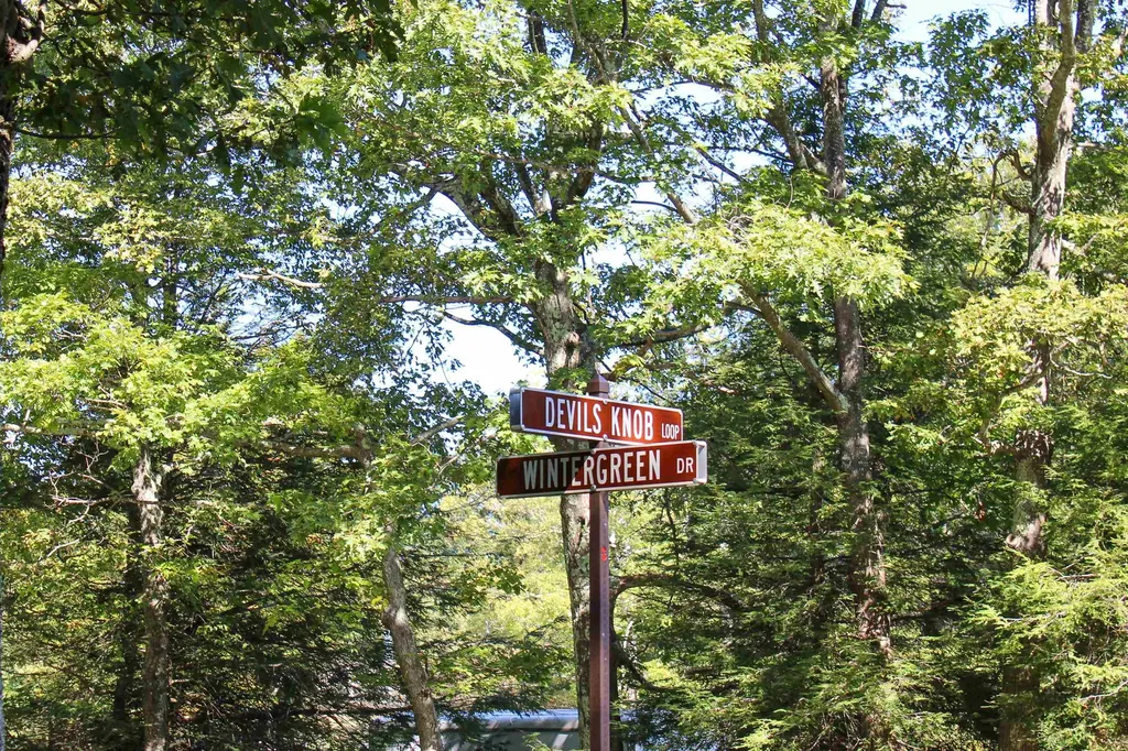 781 Devils Knob Loop Wintergreen Resort VA 22967