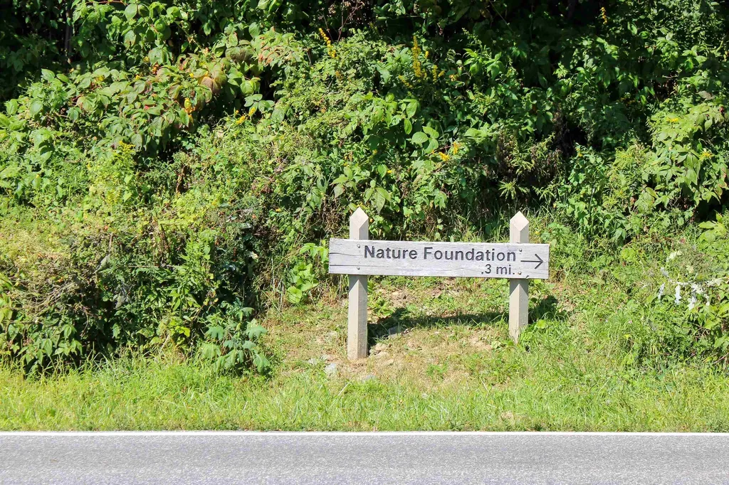 781 Devils Knob Loop Wintergreen Resort VA 22967