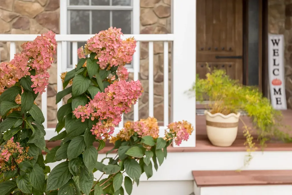 200 Kensington Drive Elkton VA 22827