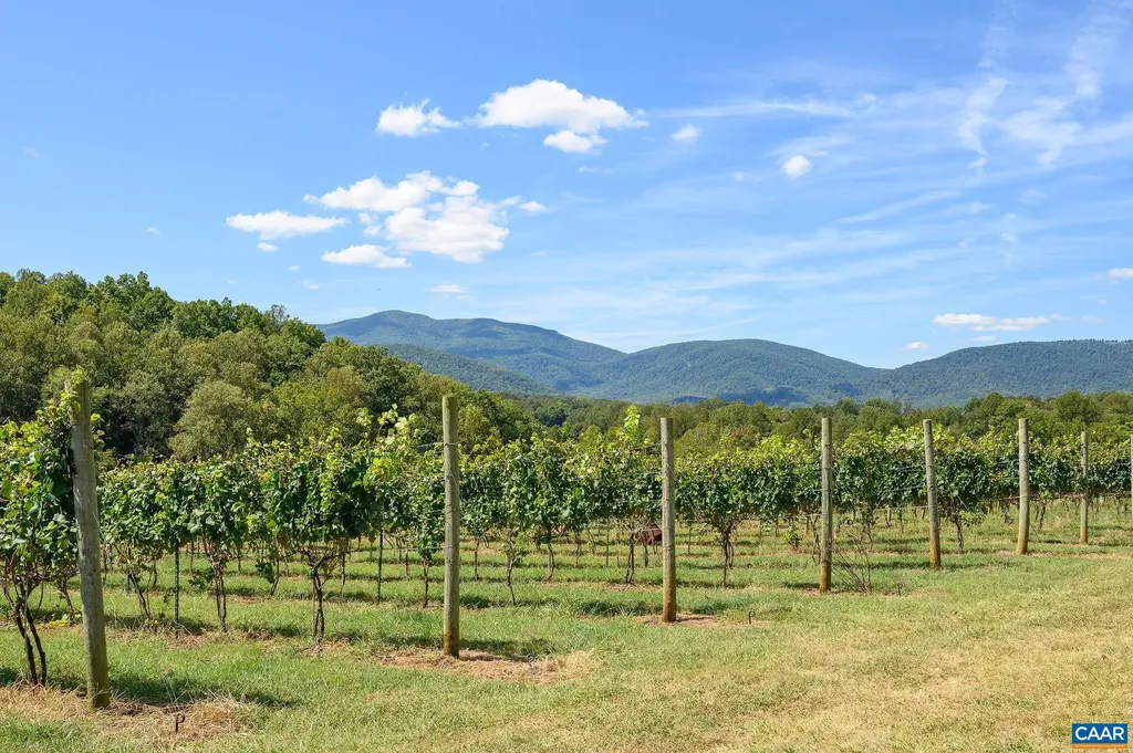 9175 Batesville Road Afton VA 22902