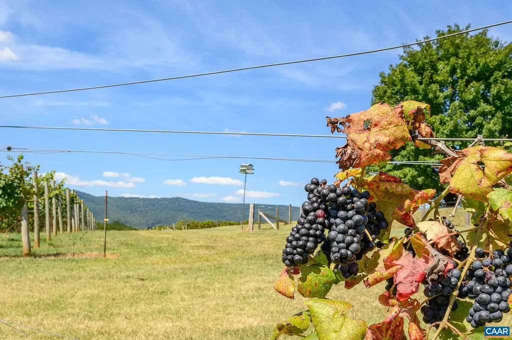 9175 Batesville Road Afton VA 22902