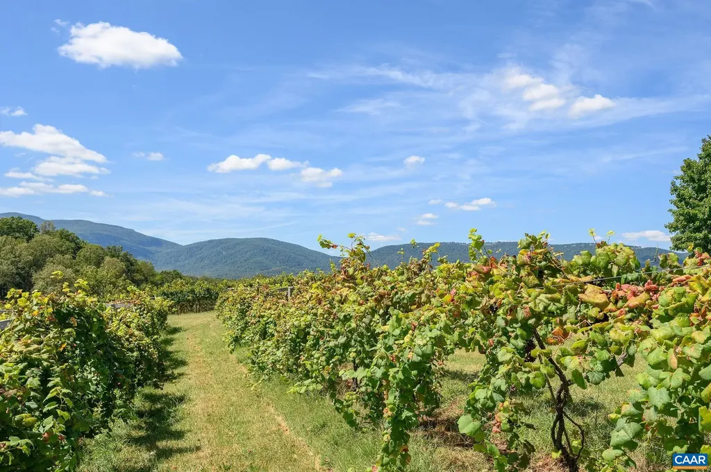 9175 Batesville Road Afton VA 22902