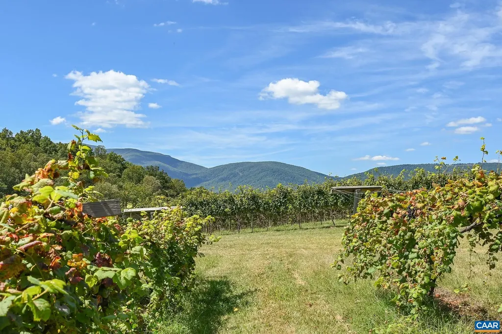 9175 Batesville Road Afton VA 22902