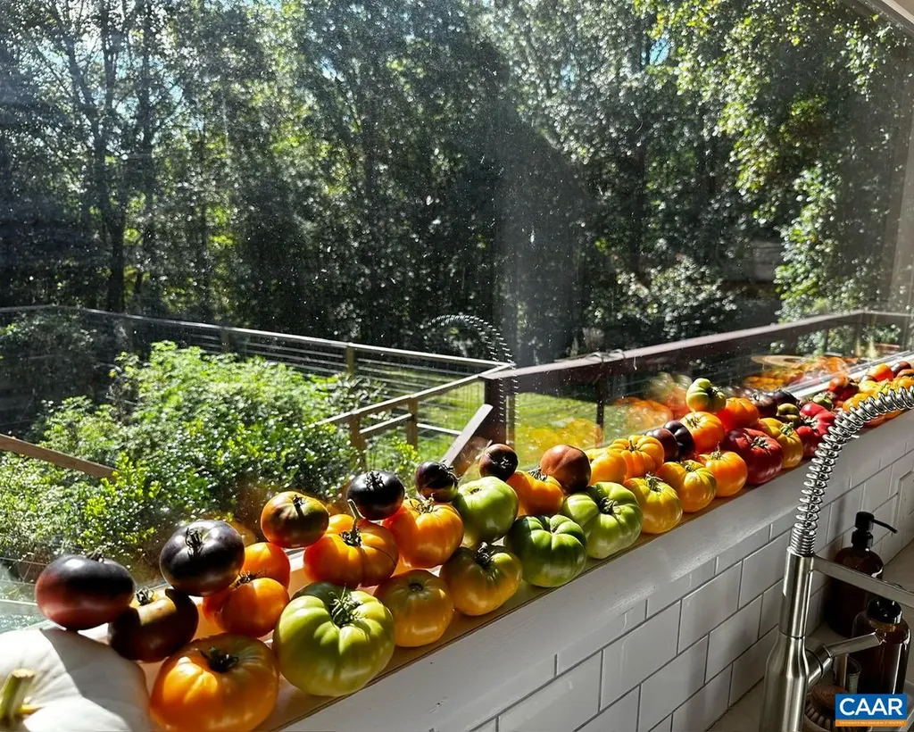 3915 William Court Charlottesville VA 22903