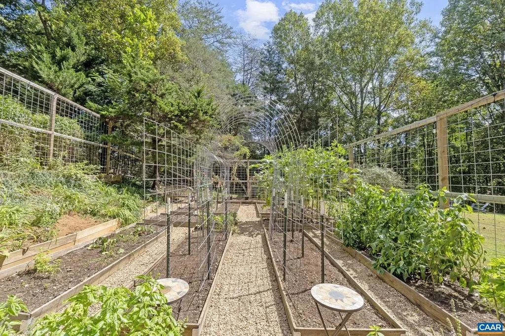 3915 William Court Charlottesville VA 22903