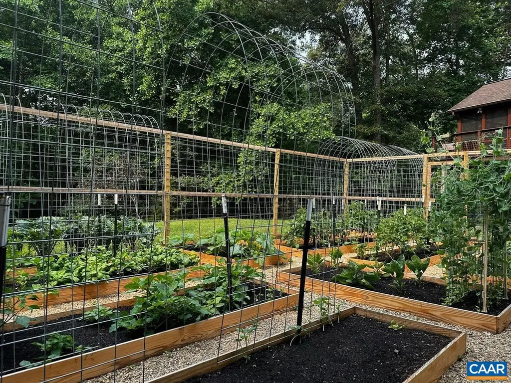 3915 William Court Charlottesville VA 22903