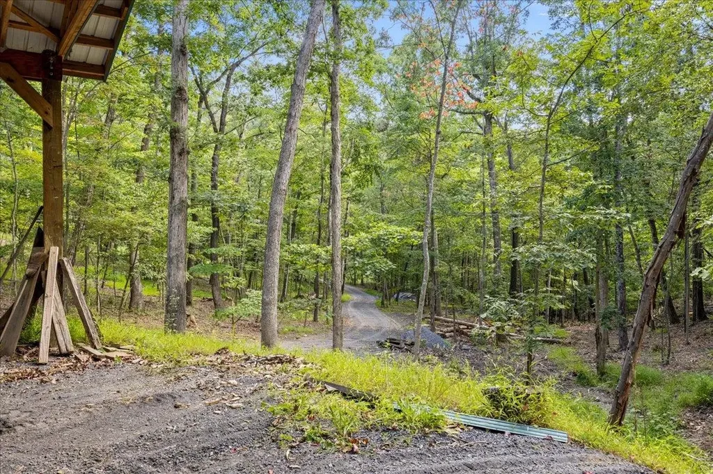 867 Blackberry Lane New Market VA 22844