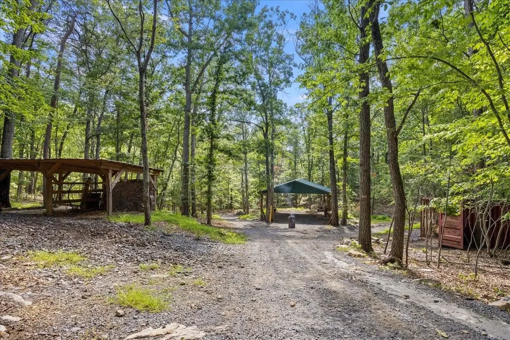 867 Blackberry Lane New Market VA 22844