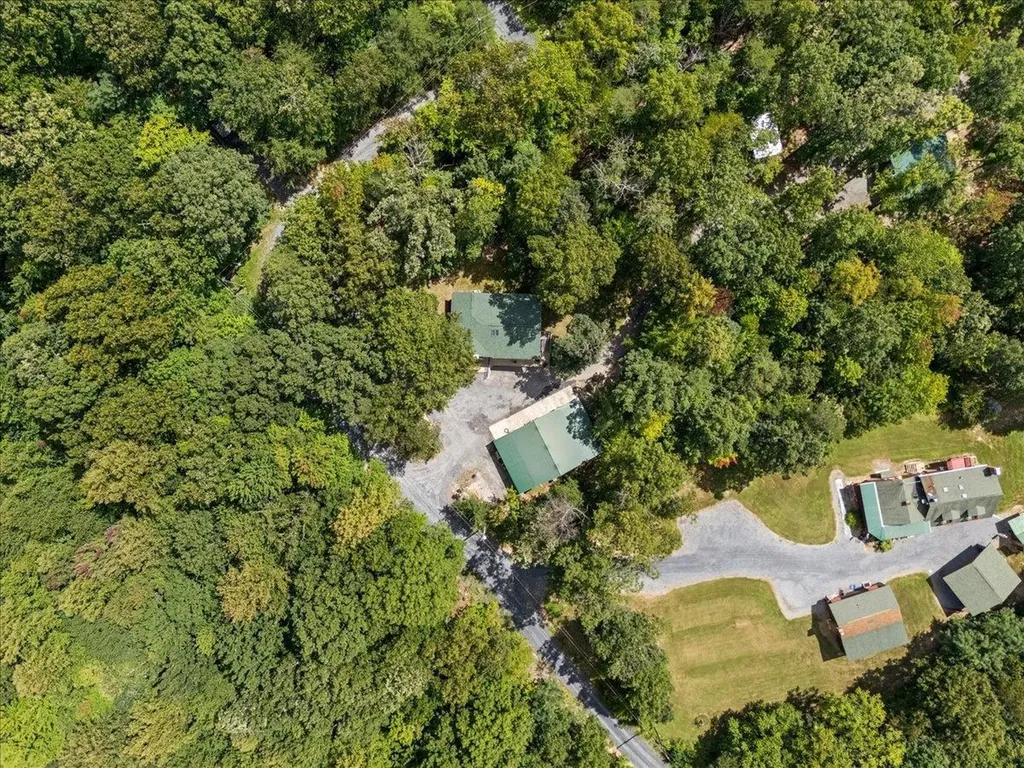 867 Blackberry Lane New Market VA 22844