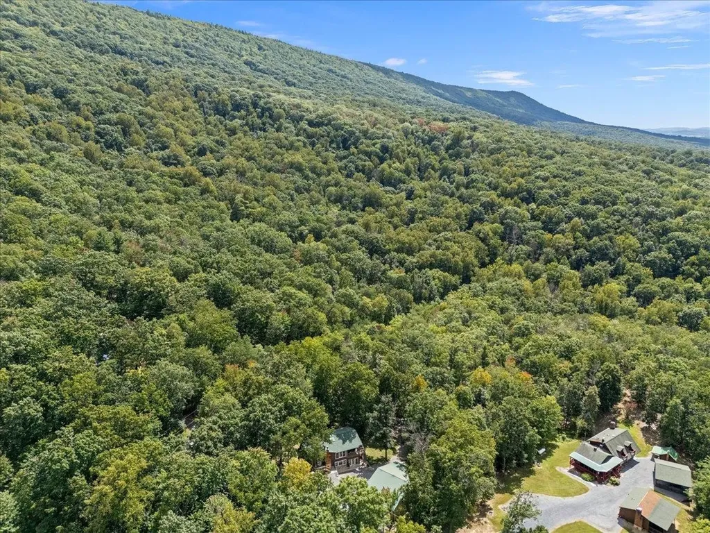 867 Blackberry Lane New Market VA 22844